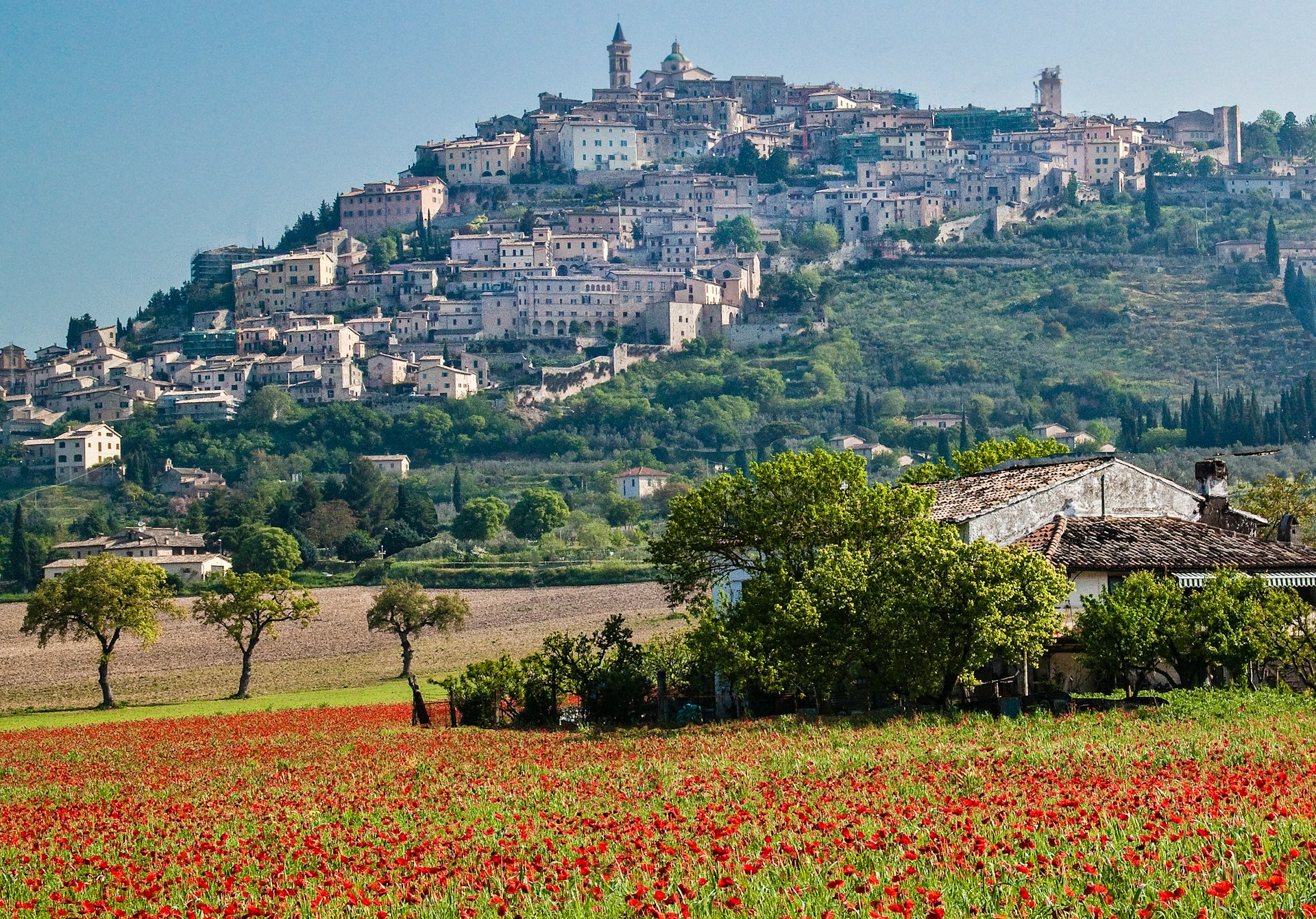 Terre di San Valentino